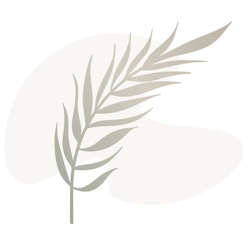 Drawn Image of Leaf Drawn Image of Leaf