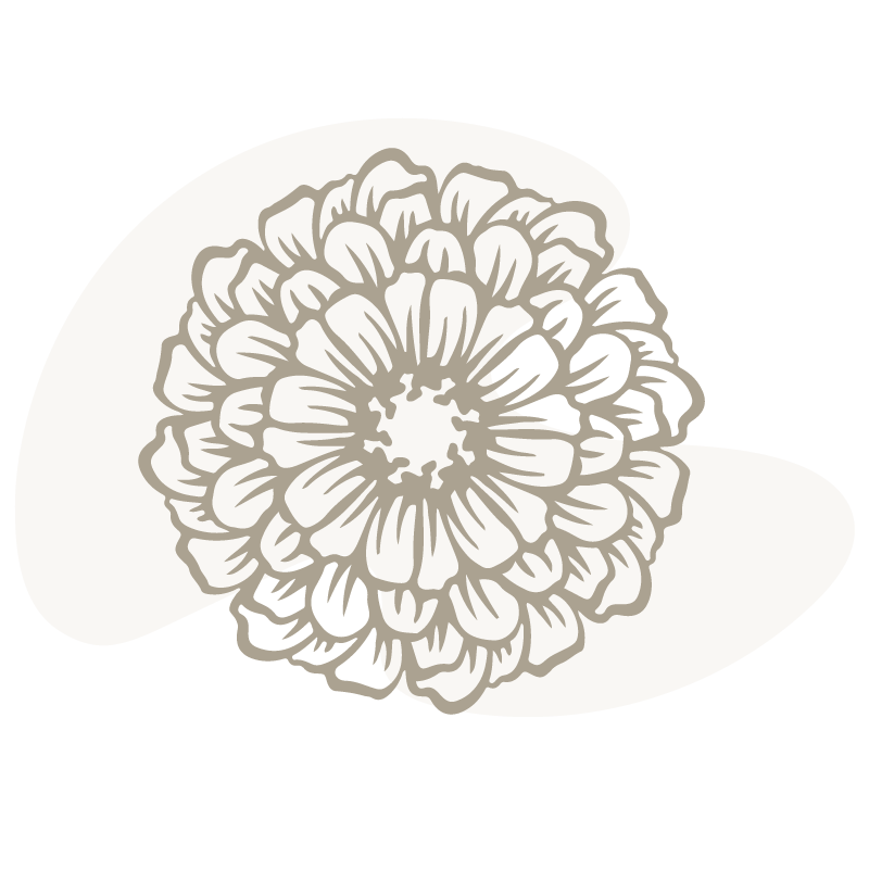 Drawn Image of Flower Drawn Image of Flower