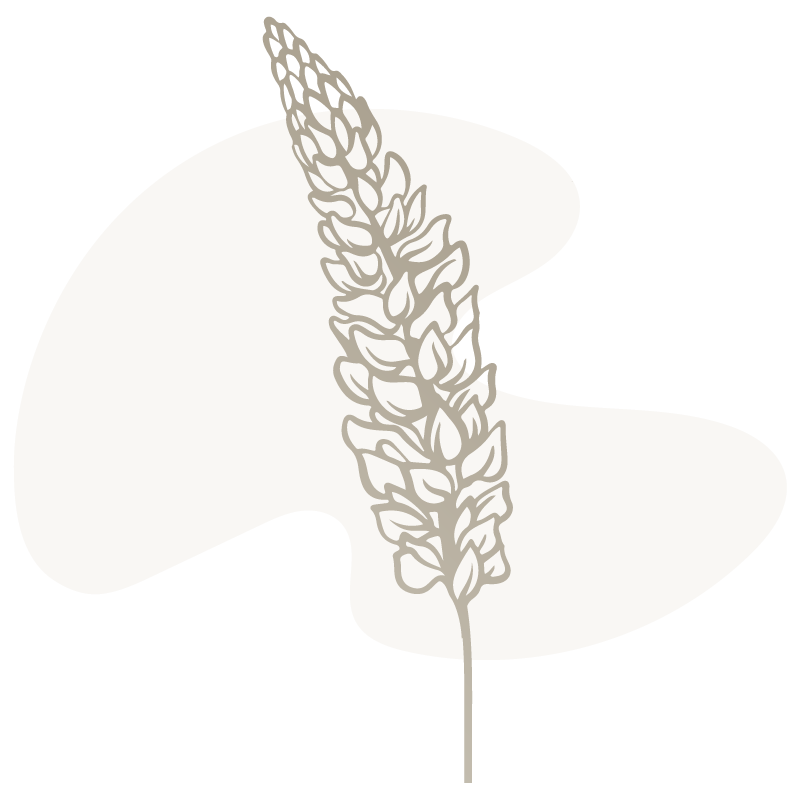 Drawn Image of Flower Drawn Image of Flower