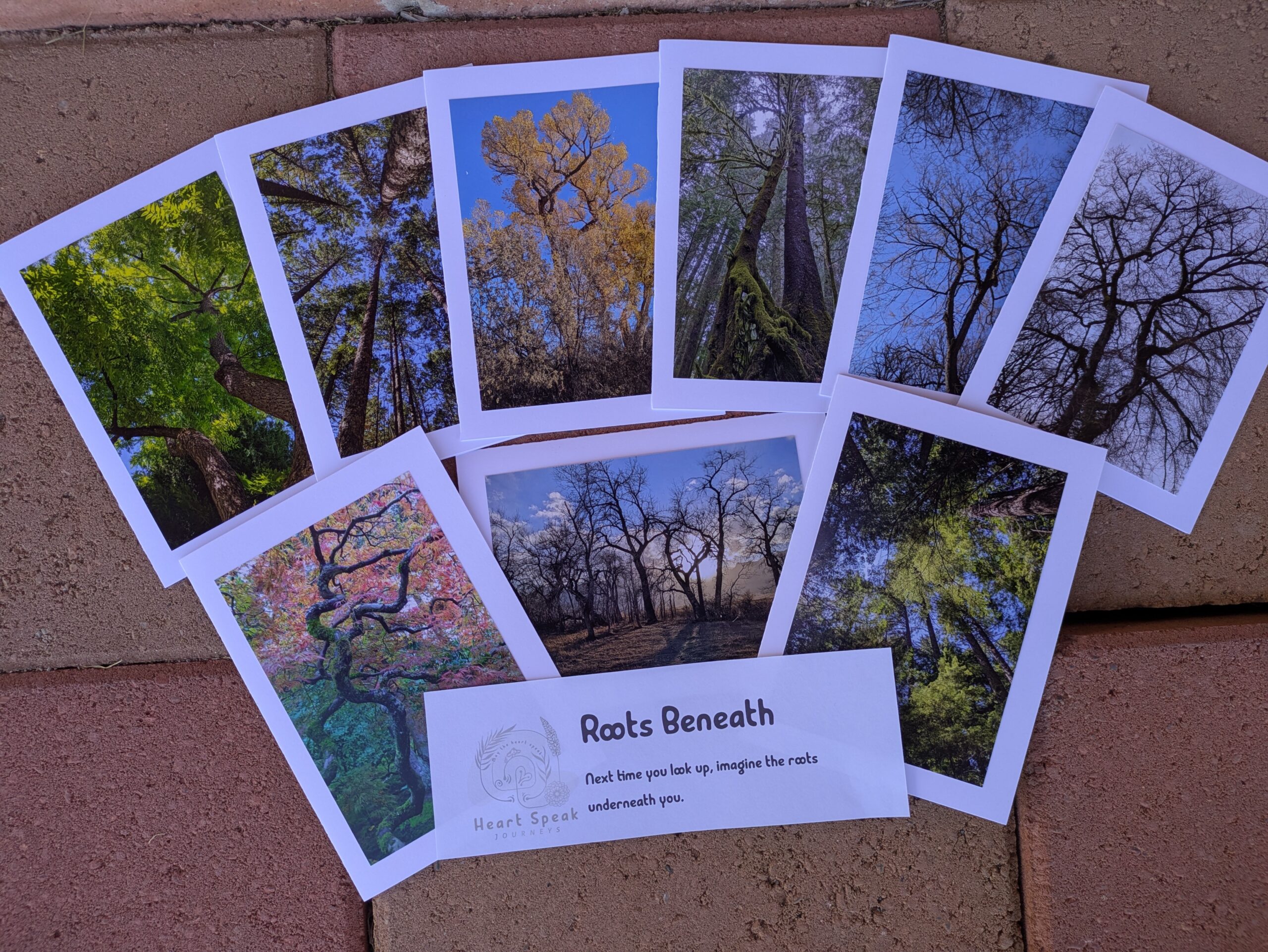 Roots Beneath Cards