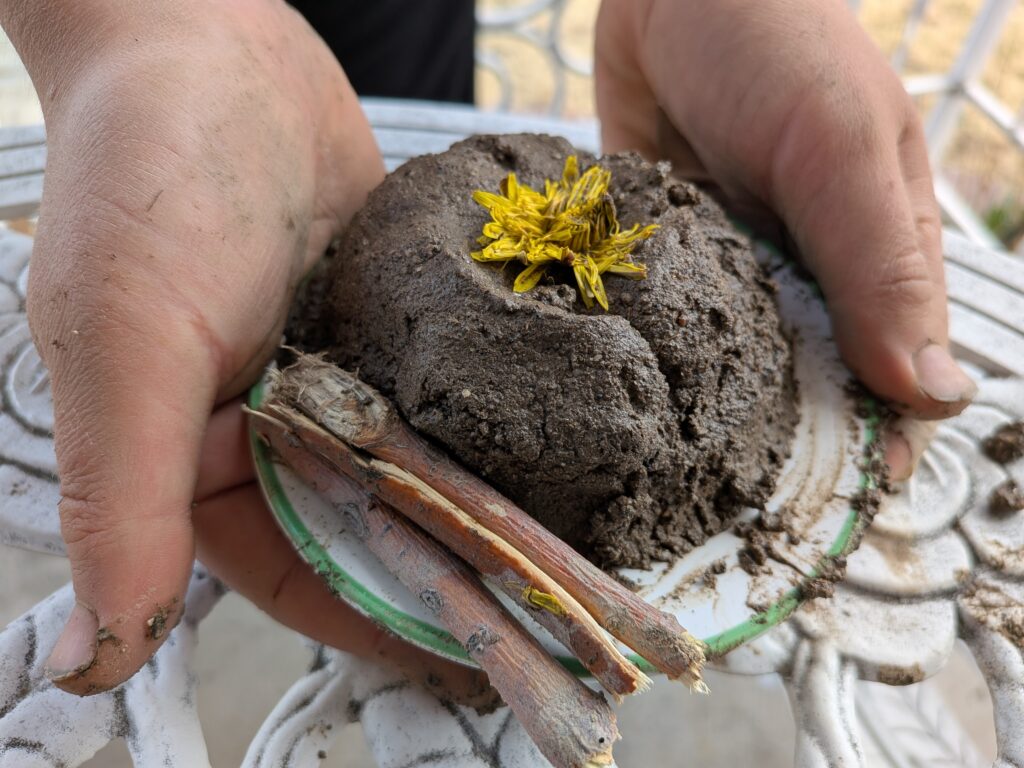 PXL_20260421_223220698.MACRO_FOCUS