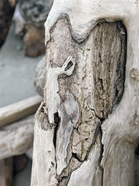 image(3)