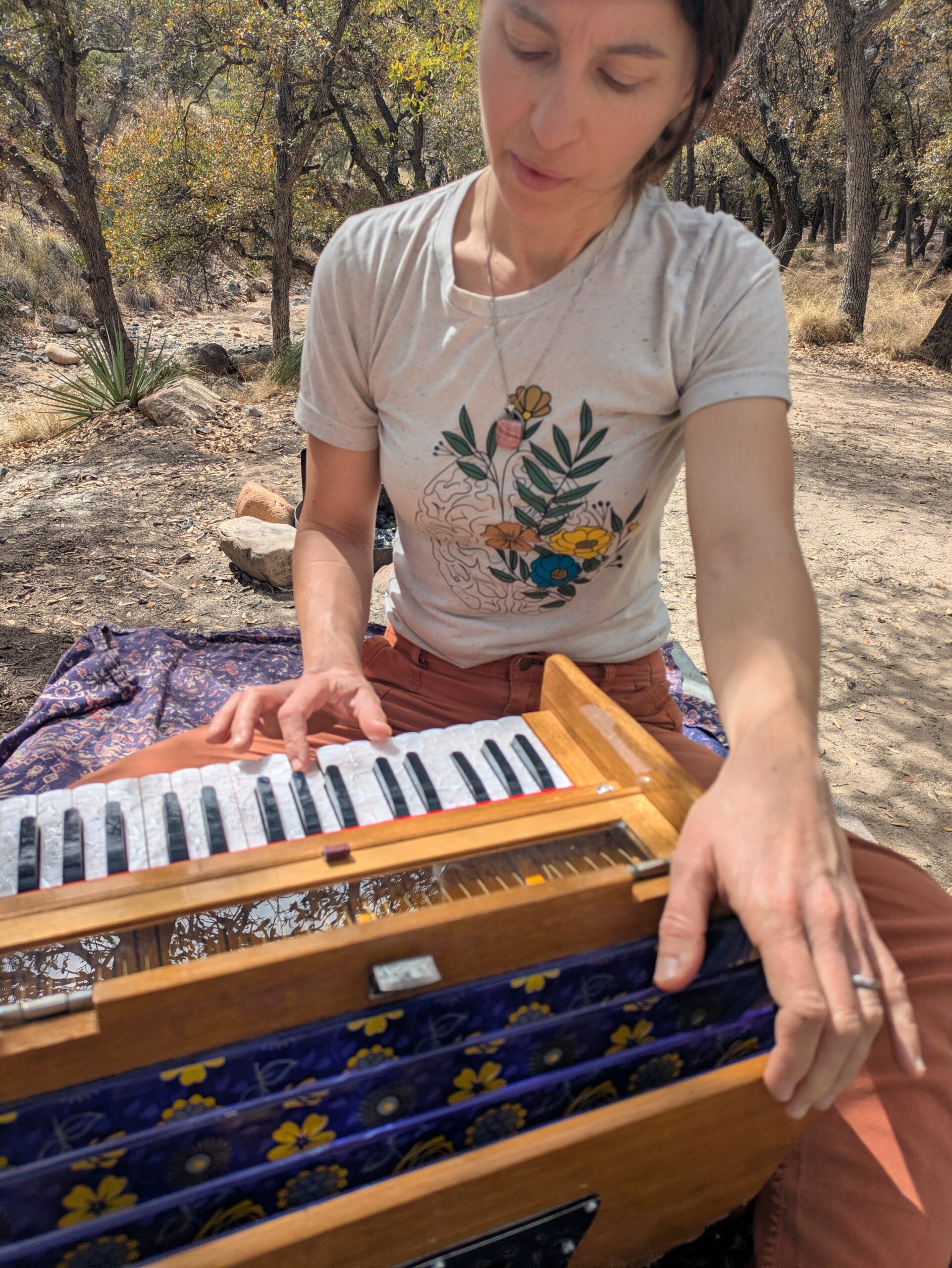 PXL_20250326_180901998 person playing harmonium