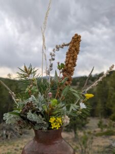 wild plants and flowers in vase