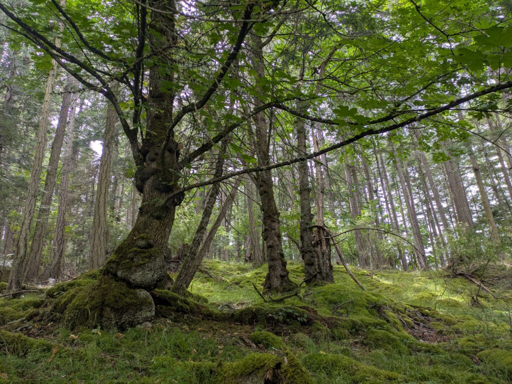 PXL_20250705_221303928(1)